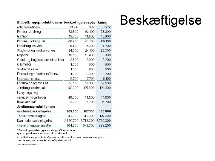 Beskæftigelse 