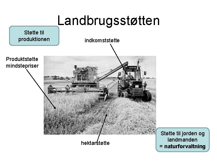 Landbrugsstøtten Støtte til produktionen indkomststøtte Produktstøtte mindstepriser hektarstøtte Støtte til jorden og landmanden =