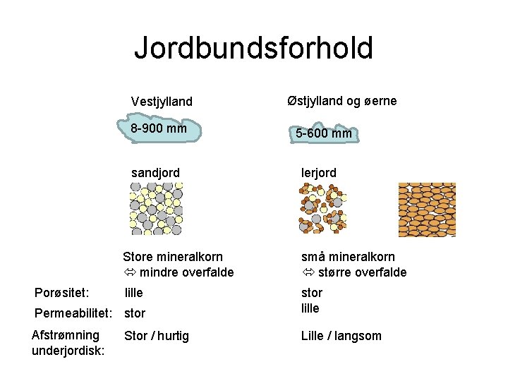 Jordbundsforhold Vestjylland 8 -900 mm sandjord Porøsitet: 5 -600 mm lerjord Store mineralkorn mindre