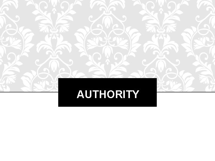 AUTHORITY 