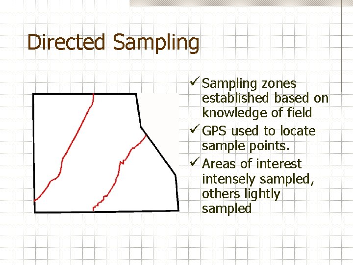 Directed Sampling ü Sampling zones established based on knowledge of field ü GPS used