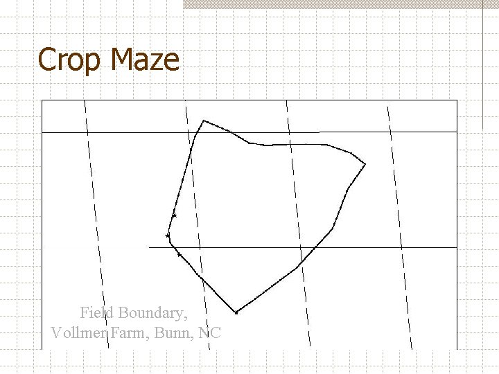 Crop Maze Field Boundary, Vollmer Farm, Bunn, NC 