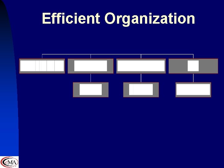 Efficient Organization 