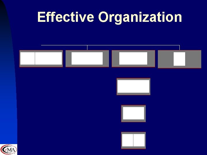 Effective Organization 