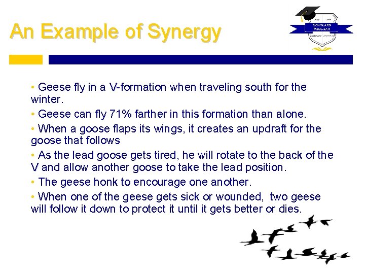 An Example of Synergy • Geese fly in a V-formation when traveling south for