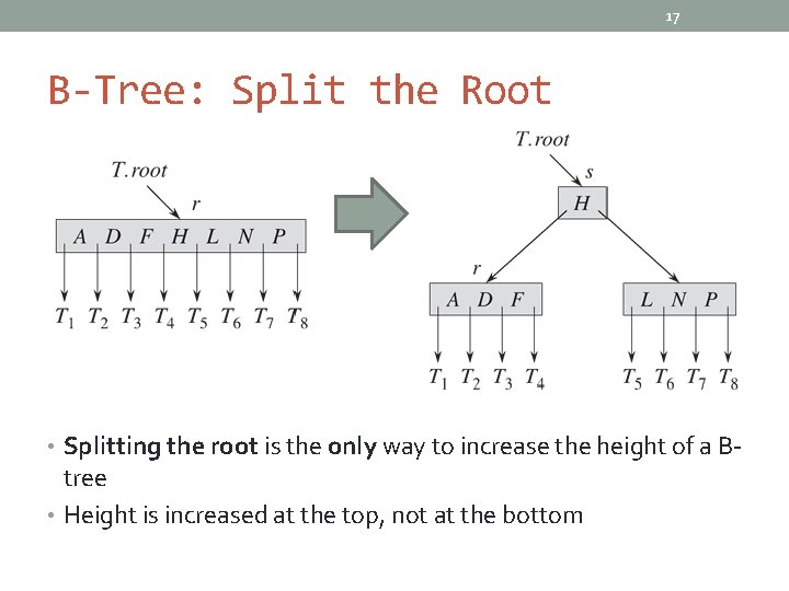 17 B-Tree: Split the Root • Splitting the root is the only way to