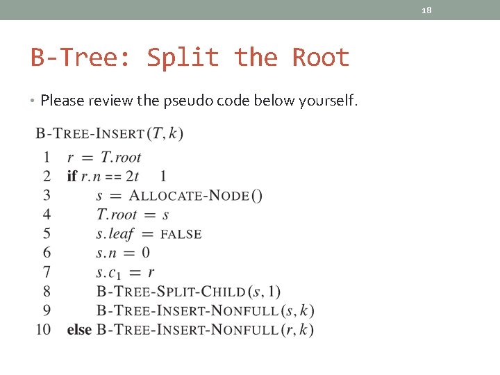 18 B-Tree: Split the Root • Please review the pseudo code below yourself. 