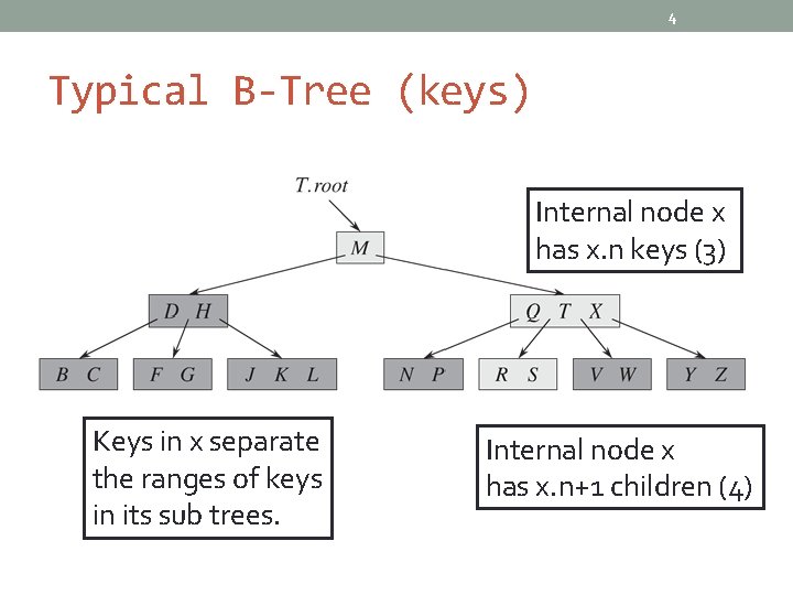 4 Typical B-Tree (keys) Internal node x has x. n keys (3) Keys in