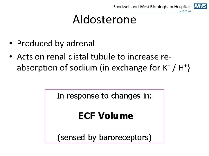 Aldosterone • Produced by adrenal • Acts on renal distal tubule to increase reabsorption