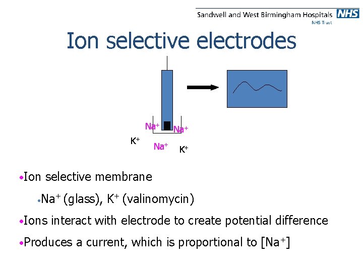 Ion selective electrodes Na+ K+ • Ion • Na+ K+ selective membrane Na+ (glass),