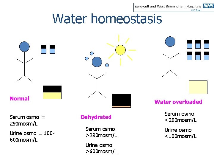 Water homeostasis Normal Serum osmo = 290 mosm/L Urine osmo = 100600 mosm/L Water