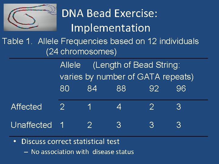DNA Bead Exercise: Implementation Table 1. Allele Frequencies based on 12 individuals (24 chromosomes)