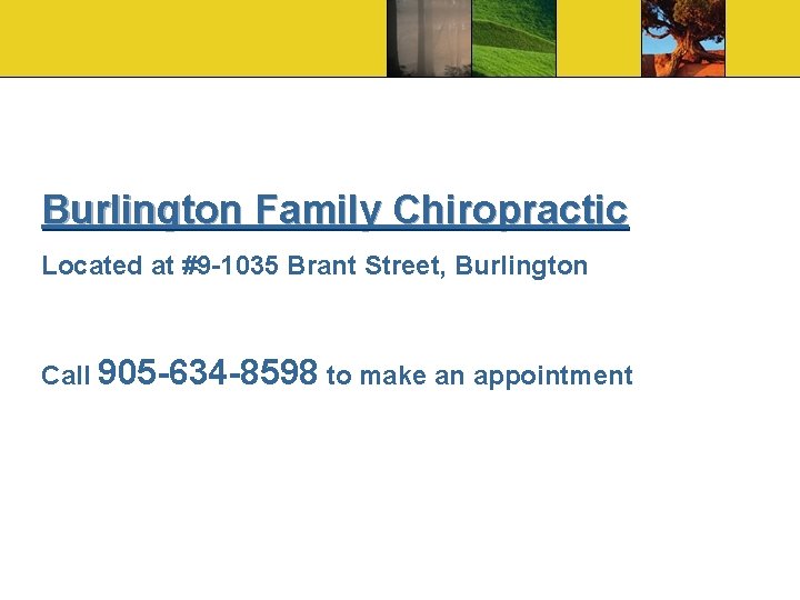 Burlington Family Chiropractic Located at #9 -1035 Brant Street, Burlington Call 905 -634 -8598