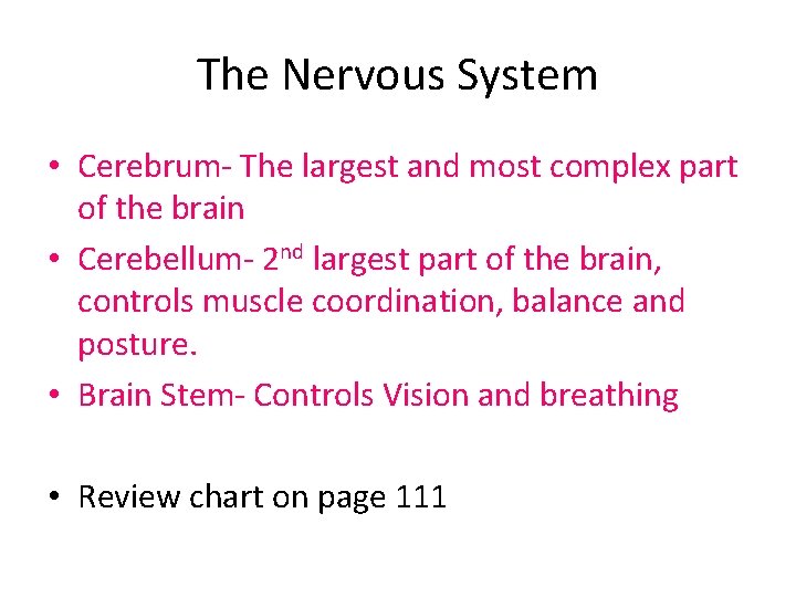 The Nervous System • Cerebrum- The largest and most complex part of the brain