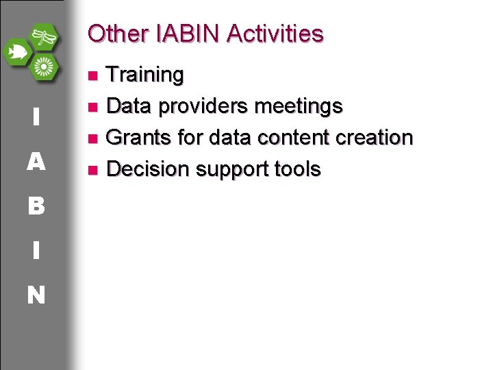 Other IABIN Activities Training n Data providers meetings n Grants for data content creation