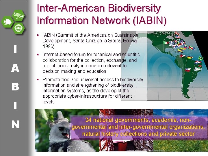 Inter-American Biodiversity Information Network (IABIN) I A B I N § IABIN (Summit of