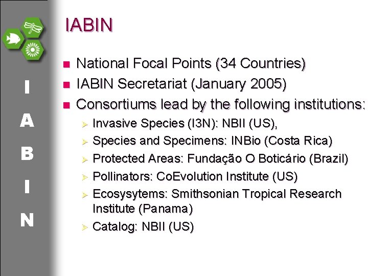 IABIN n I A n n National Focal Points (34 Countries) IABIN Secretariat (January