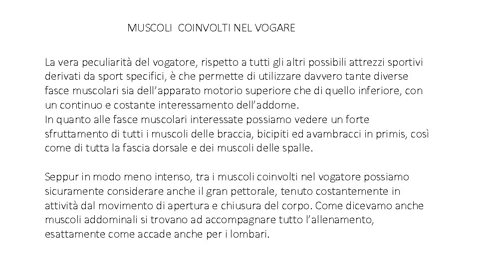 MUSCOLI COINVOLTI NEL VOGARE La vera peculiarità del vogatore, rispetto a tutti gli altri