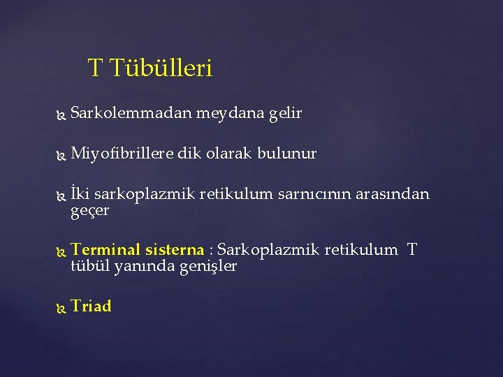 T Tübülleri Sarkolemmadan meydana gelir Miyofibrillere dik olarak bulunur İki sarkoplazmik retikulum sarnıcının arasından