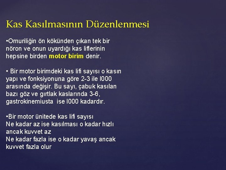 Kas Kasılmasının Düzenlenmesi • Omuriliğin ön kökünden çıkan tek bir nöron ve onun uyardığı