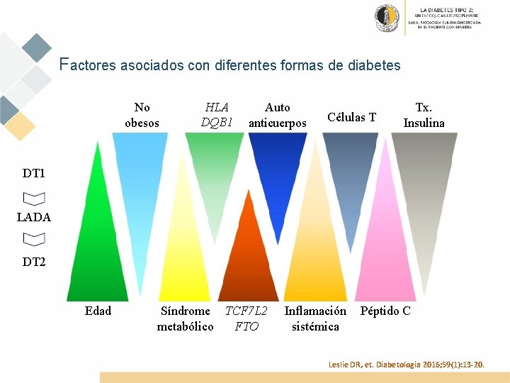 Factores asociados con diferentes formas de diabetes No obesos HLA DQB 1 Auto anticuerpos