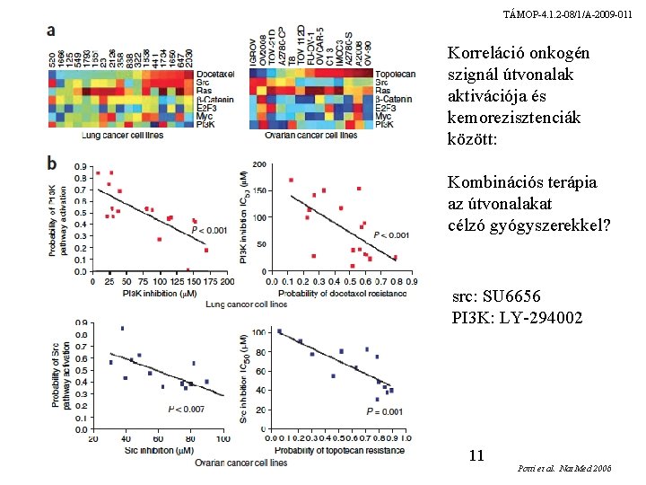 TÁMOP-4. 1. 2 -08/1/A-2009 -011 Korreláció onkogén szignál útvonalak aktivációja és kemorezisztenciák között: Kombinációs