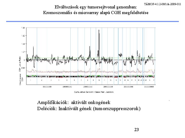 TÁMOP-4. 1. 2 -08/1/A-2009 -011 Elváltozások egy tumorsejtvonal genomban: Kromoszomális és microarray alapú CGH