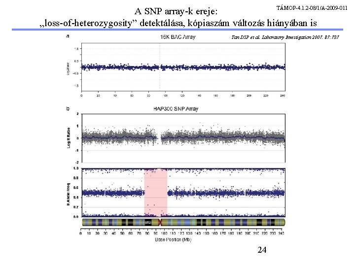 TÁMOP-4. 1. 2 -08/1/A-2009 -011 A SNP array-k ereje: „loss-of-heterozygosity” detektálása, kópiaszám változás hiányában