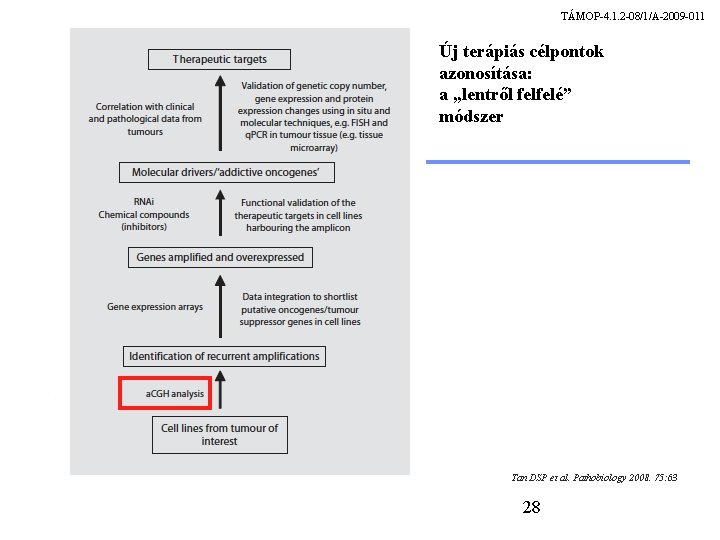 TÁMOP-4. 1. 2 -08/1/A-2009 -011 Új terápiás célpontok azonosítása: a „lentről felfelé” módszer Tan