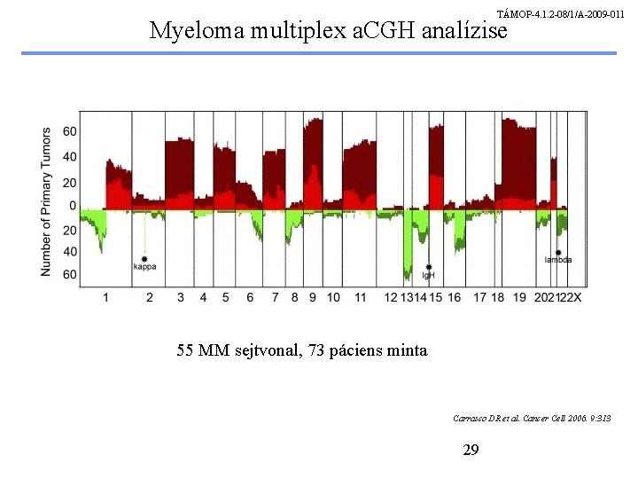 TÁMOP-4. 1. 2 -08/1/A-2009 -011 Myeloma multiplex a. CGH analízise 55 MM sejtvonal, 73