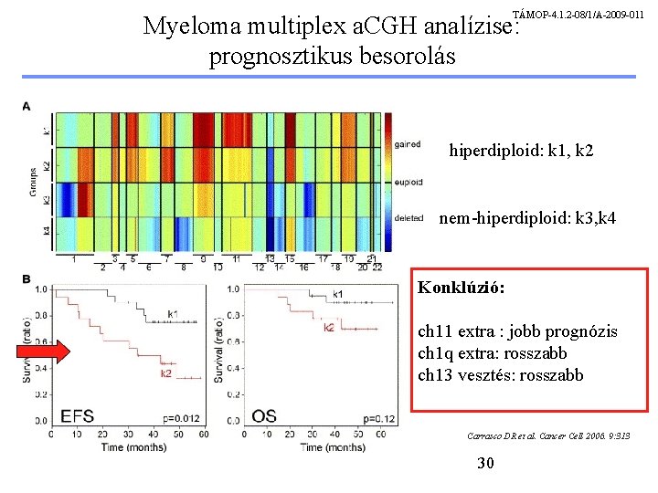 TÁMOP-4. 1. 2 -08/1/A-2009 -011 Myeloma multiplex a. CGH analízise: prognosztikus besorolás hiperdiploid: k