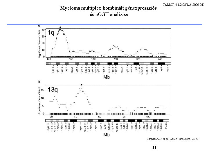 Myeloma multiplex kombinált génexpressziós és a. CGH analízise TÁMOP-4. 1. 2 -08/1/A-2009 -011 Carrasco