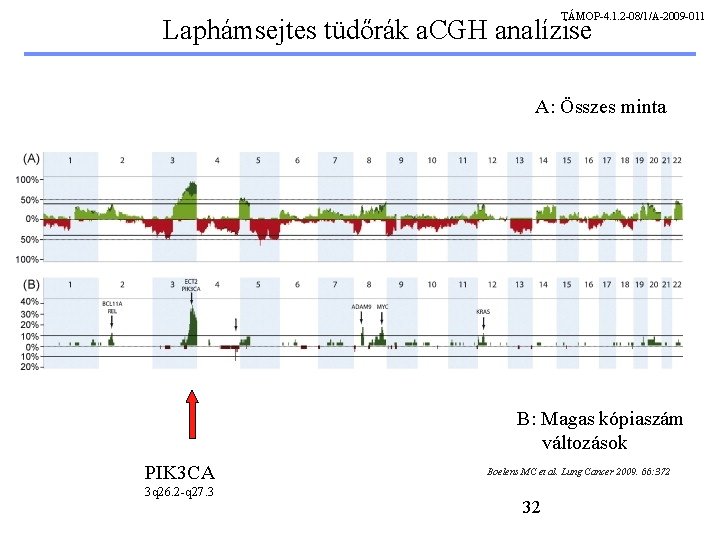 TÁMOP-4. 1. 2 -08/1/A-2009 -011 Laphámsejtes tüdőrák a. CGH analízise A: Összes minta B: