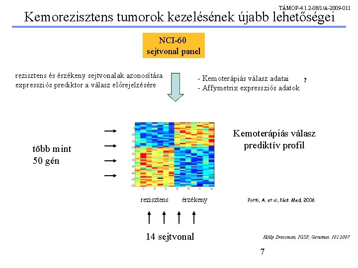 TÁMOP-4. 1. 2 -08/1/A-2009 -011 Kemorezisztens tumorok kezelésének újabb lehetőségei NCI-60 sejtvonal panel rezisztens