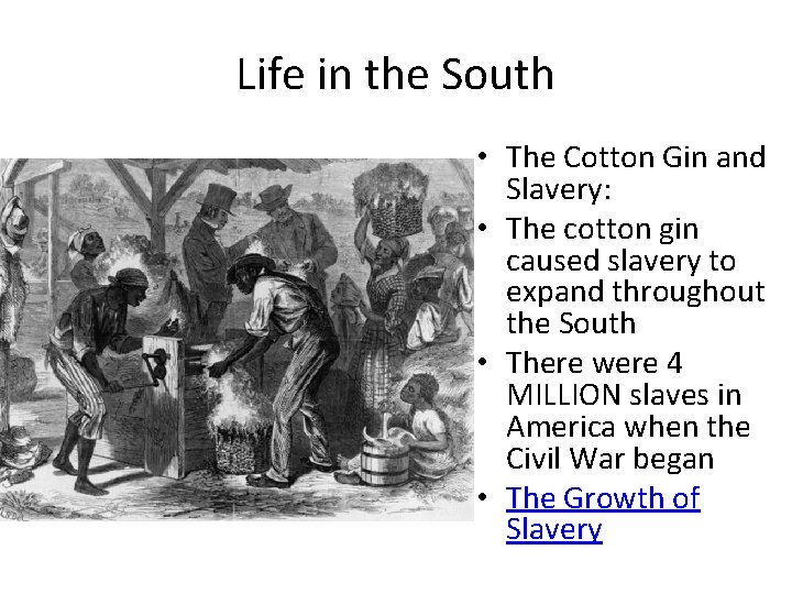 Life in the South • The Cotton Gin and Slavery: • The cotton gin