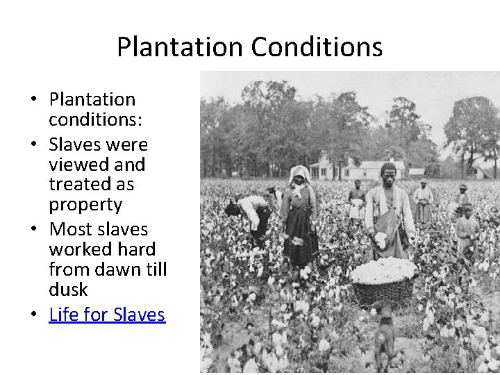 Plantation Conditions • Plantation conditions: • Slaves were viewed and treated as property •