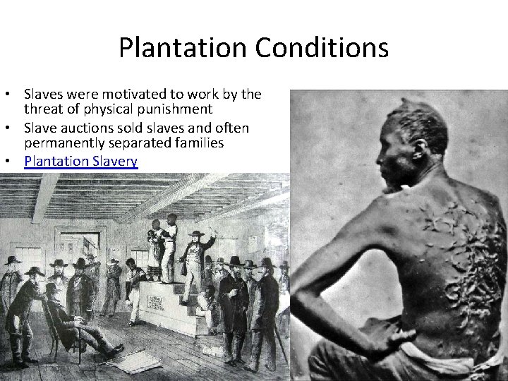 Plantation Conditions • Slaves were motivated to work by the threat of physical punishment
