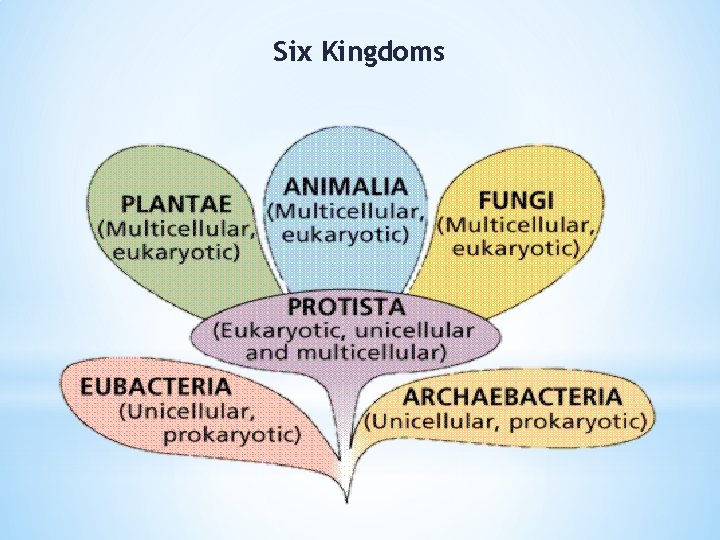Six Kingdoms 