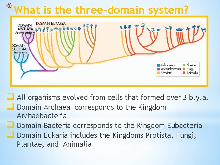 * What is the three-domain system? q All organisms evolved from cells that formed