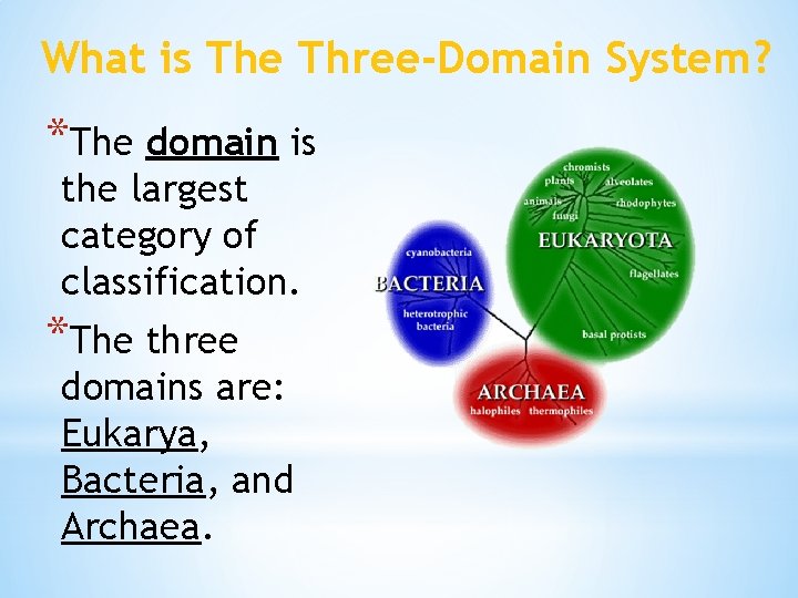 What is The Three-Domain System? *The domain is the largest category of classification. *The