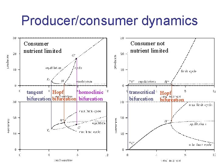 Producer/consumer dynamics Consumer nutrient limited tangent Hopf homoclinic bifurcation Consumer not nutrient limited transcritical