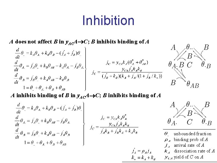 Inhibition A does not affect B in y. ACA C; B inhibits binding of