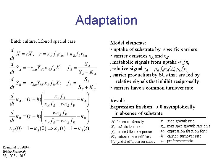 Adaptation Batch culture, Monod special case Model elements: • uptake of substrate by specific