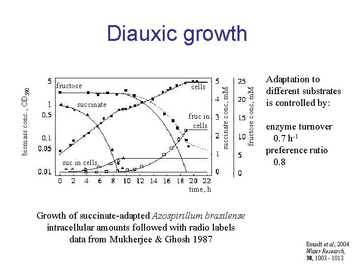 cells succinate fruc in cells suc in cells fructose conc, m. M fructose succinate