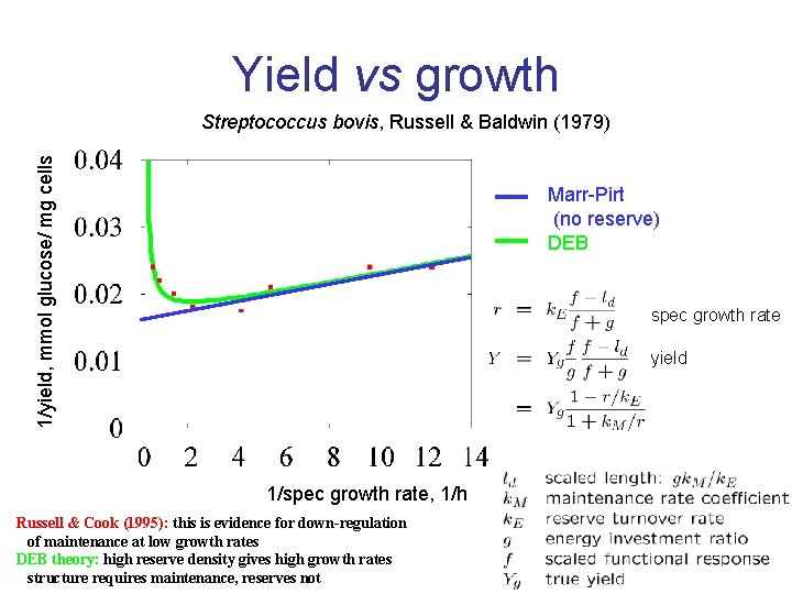 Yield vs growth 1/yield, mmol glucose/ mg cells Streptococcus bovis, Russell & Baldwin (1979)