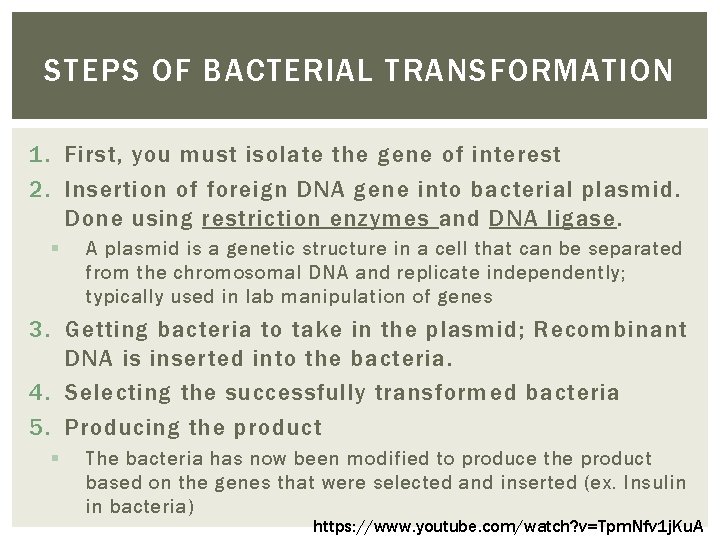 STEPS OF BACTERIAL TRANSFORMATION 1. First, you must isolate the gene of interest 2.