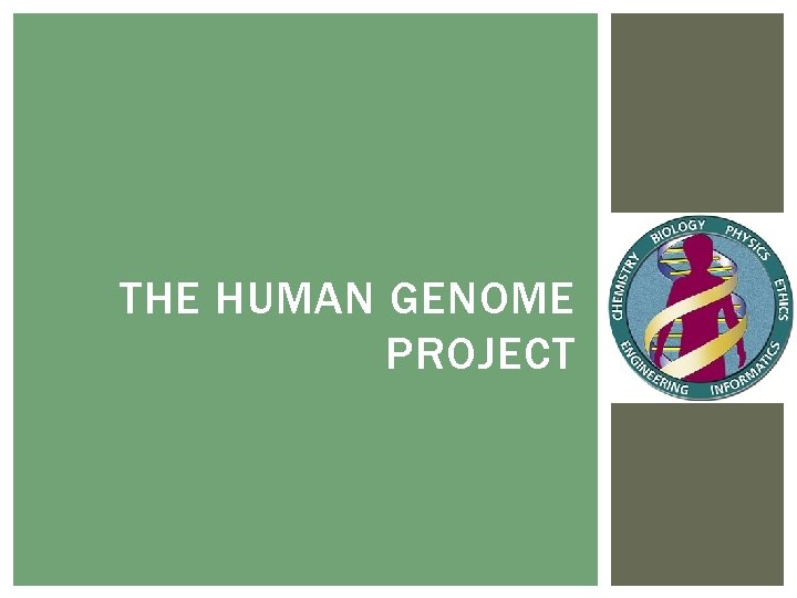 THE HUMAN GENOME PROJECT 