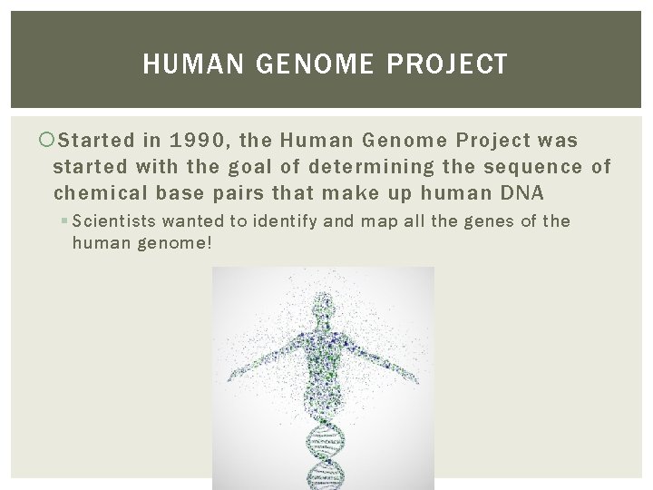 HUMAN GENOME PROJECT Started in 1990, the Human Genome Project was started with the