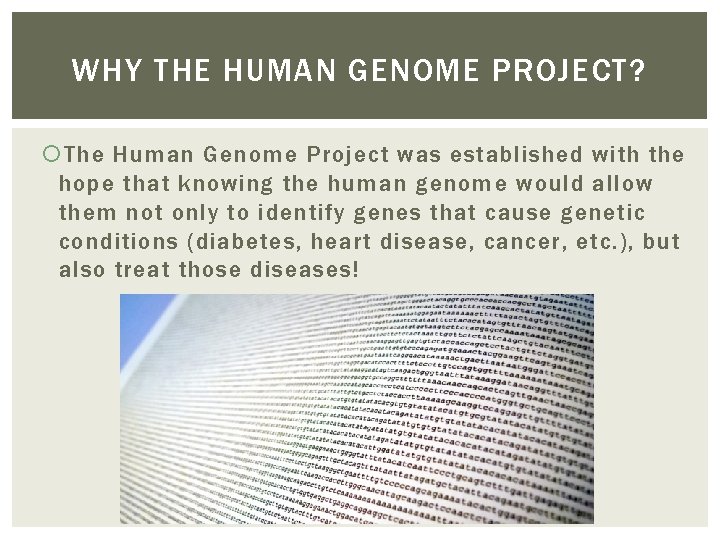 WHY THE HUMAN GENOME PROJECT? The Human Genome Project was established with the hope