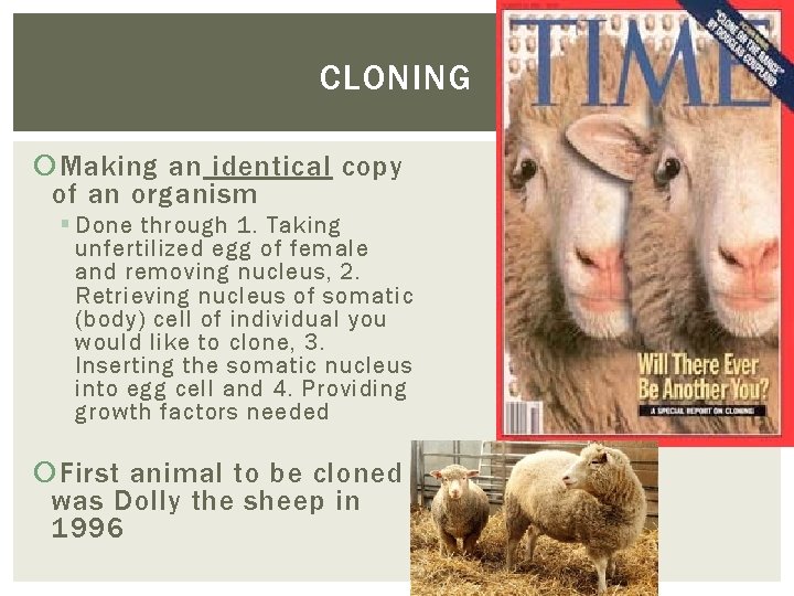 CLONING Making an identical copy of an organism § Done through 1. Taking unfertilized